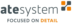 logo atesystem